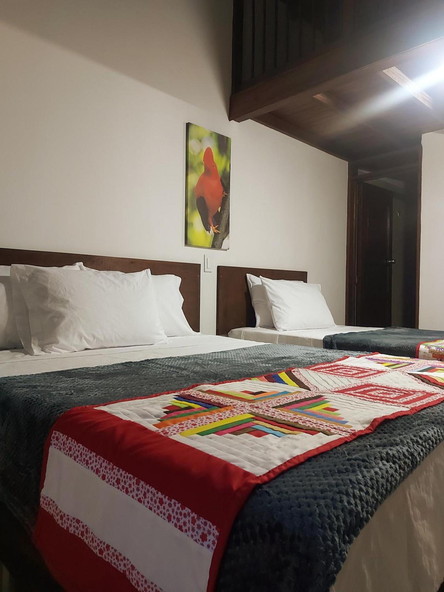 Volarte Hostal Jardin Dış mekan fotoğraf