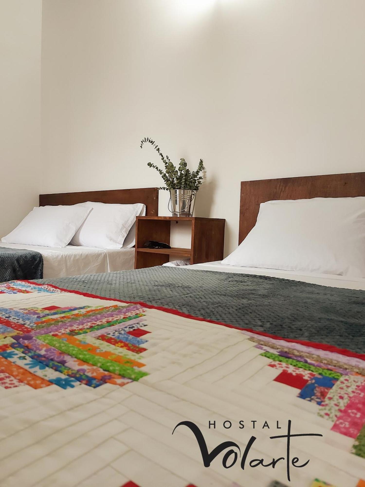 Volarte Hostal Jardin Dış mekan fotoğraf